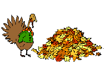 turkeyonpileofleaves